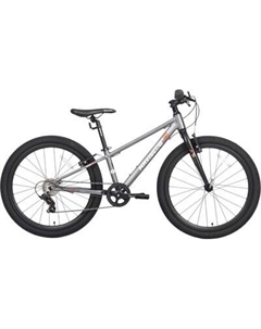 Велосипед Maxiscoo 5bike 24 M200 2025 / MSC-M5-2412