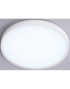 Потолочный светильник Ambrella Orbital FZ1951 WH