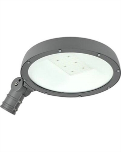 Светильник уличный LDKU0-2001-100-5000-K02 Iek