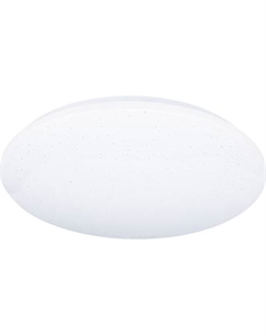 Потолочный светильник 11216 Truenergy