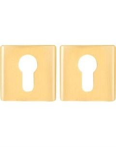 Накладка на цилиндр Apecs Ultra DP-C-60-GMS