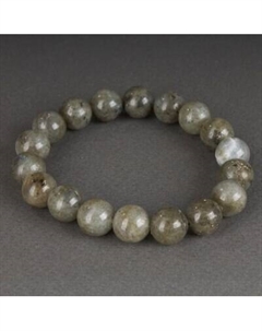 Браслет Wolves Лабрадор 40466