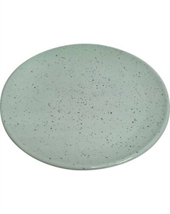 Тарелка столовая обеденная Борисовская керамика Гармония 109555