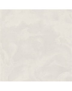 Виниловые обои Euphoria 8078-00 Euro decor