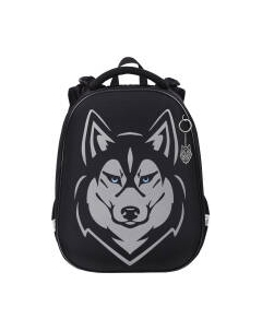 Школьный рюкзак Shiny. Husky / 271383 Brauberg