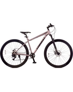 Велосипед FALCON-29MDA / FLC29MD19PL-AL Favorit