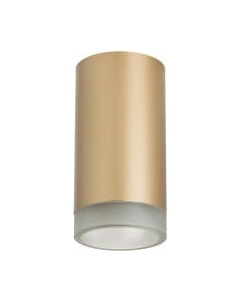 Точечный светильник Lightstar Rullo R44030