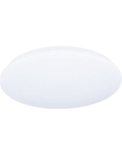 Потолочный светильник Truenergy 11212