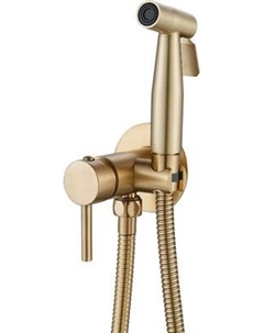 Гигиенический душ со смесителем Shevanik S147G