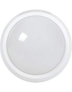 Светильник ЖКХ LDPO0-5071-28-6500-K01 Iek