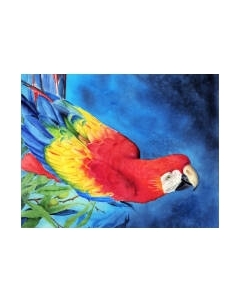 Картина по номерам Сине-желтый ара / Х-3904 Рыжий кот