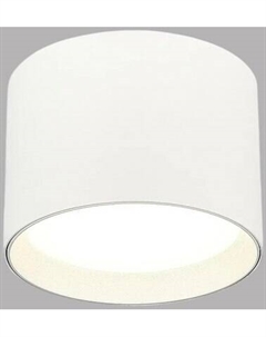 Потолочный светильник ST Luce ST163.502.01 St luce