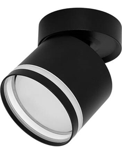 Спот Truenergy 21045