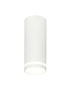 Точечный светильник ESCADA 20009SMU/02LED SWH Escada