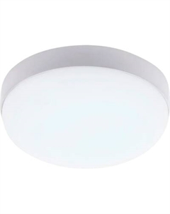 Светильник ЖКХ Ambrella ST8633