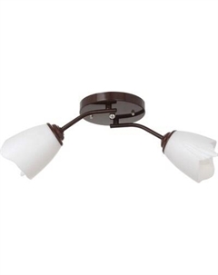 Потолочный светильник BayerLux Оникс 4533457 Bayerlux