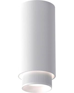 Точечный светильник Elektrostandard Nubis GU10 25012/01