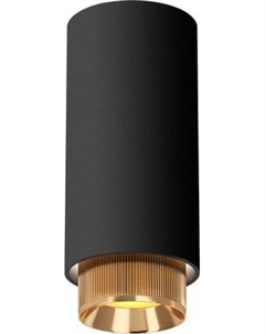 Точечный светильник Elektrostandard Nubis GU10 25012/01