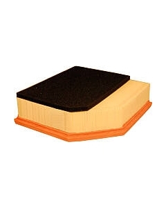 Воздушный фильтр Filtron AP165/5