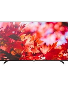 Телевизор Blackton 50" BT 50FSU42B