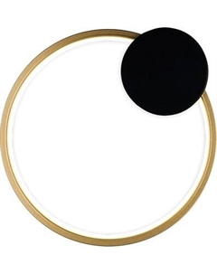 Светильник ESCADA 10262/1 LED Escada