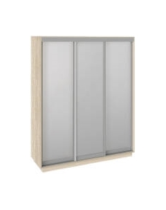 Шкаф-купе Румер СШК 1.180.60-13.13.13 3-х дверный Трия
