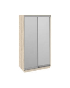 Шкаф-купе Румер СШК 1.120.60-13.13 2-х дверный Трия