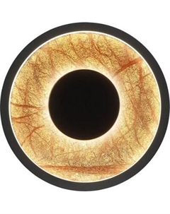 Светильник FAVOURITE 4445-1W Favourite