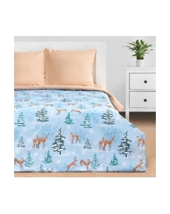 Комплект постельного белья Зимнее волшебство / 4935588 Этель