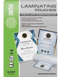 Пленка для ламинирования Cactus А4 216x303мм 100мкм / CS-LPGA4100100