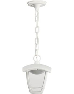 Светильник уличный ЭРА ДСУ 07-8-001 / Б0064294 Эра