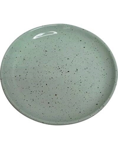 Тарелка столовая обеденная Борисовская керамика Гармония 109534