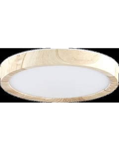 Потолочный светильник Citilux Бейсик CL738122N