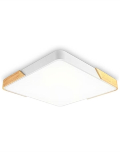 Потолочный светодиодный светильник FZ1312 WH/LW Ambrella light
