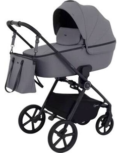 Детская универсальная коляска Rant Teo 2в1 / RA120