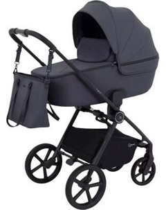 Детская универсальная коляска Rant Teo 2в1 / RA120
