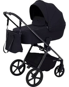 Детская универсальная коляска Rant Teo Black Chrome 2в1 / RA122