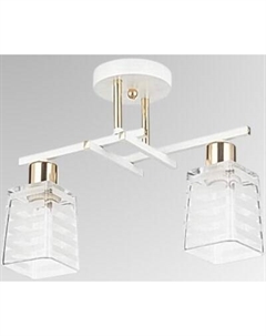 Потолочный светильник НПБ 02-2x60-101 / 6290/2 Aitin-pro