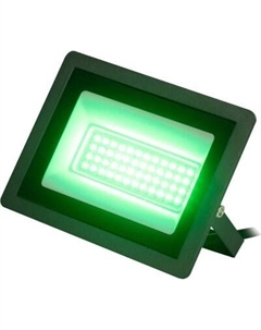 Прожектор ЭРА LPR-025-GREEN-050 / Б0064715 Эра