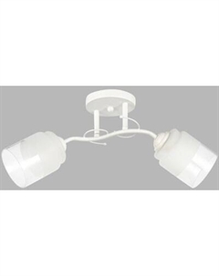 Потолочный светильник НПБ 02-2x60-101 / 6225/2 Aitin-pro
