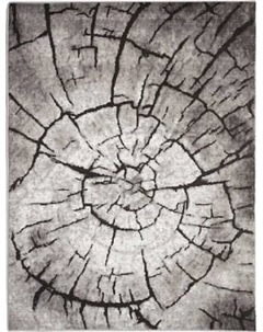 Ковер Лайла Де Люкс 15751_10744 Белка