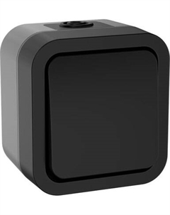 Выключатель IEK TS-V14-0-10-55-K53 Iek