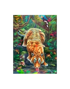 Картина по номерам Хищник на водопое / ХК-8012 Рыжий кот