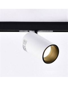 Трековый светильник Wertmark WTL.O10.007.30.09