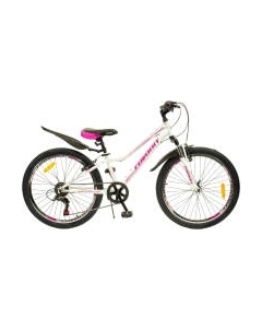 Велосипед Victoria-24VS / VIC24V12WT Favorit