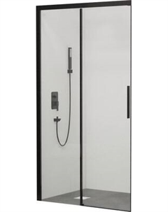 Душевая дверь 34121213-14 Rgw
