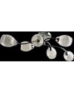 Потолочный светильник Mirastyle BL-7625/6 CR+BK