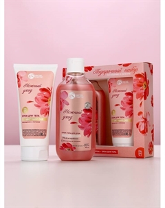 Подарочный набор «Насыщение и питание», гель для душа, 300 мл и крем для тела, 200 мл Чистое счастье