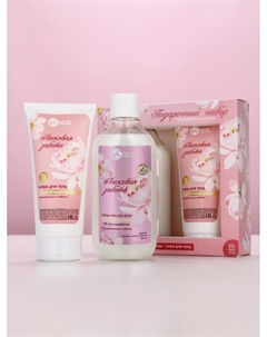Подарочный набор «Увлажнение и забота», гель для душа, 300 мл и крем для тела, 200 мл Чистое счастье