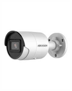 IP-камера DS-2CD2043G2-IU (4 мм) Hikvision